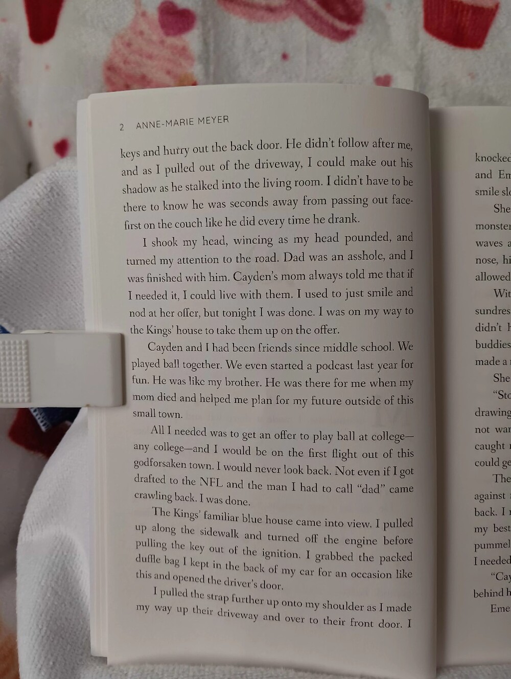 Book: Lucky Charm - Picture 6 of 12